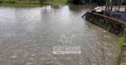 Extraordinária Fazenda para Pecuária à Venda 2.725 hectares  | Monte Alegre de Goiás/ GO
