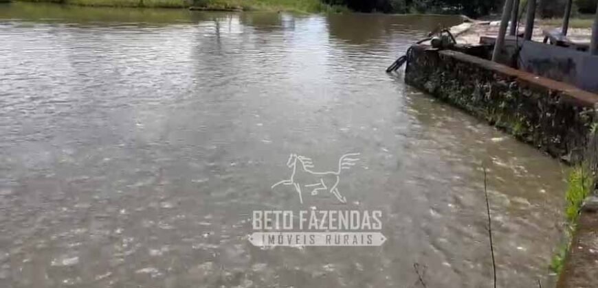 Extraordinária Fazenda para Pecuária à Venda 2.725 hectares  | Monte Alegre de Goiás/ GO