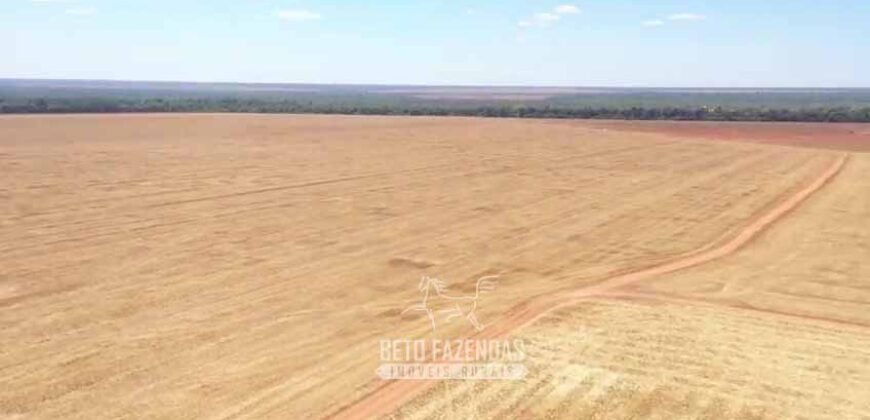 Excelente Fazenda à Venda 7.200 hectares Oportunidade no Agronegócio | Região de Querência / MT