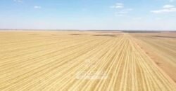 Excelente Fazenda à Venda 7.200 hectares Oportunidade no Agronegócio | Região de Querência / MT