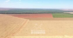 Excelente Fazenda à Venda 7.200 hectares Oportunidade no Agronegócio | Região de Querência / MT