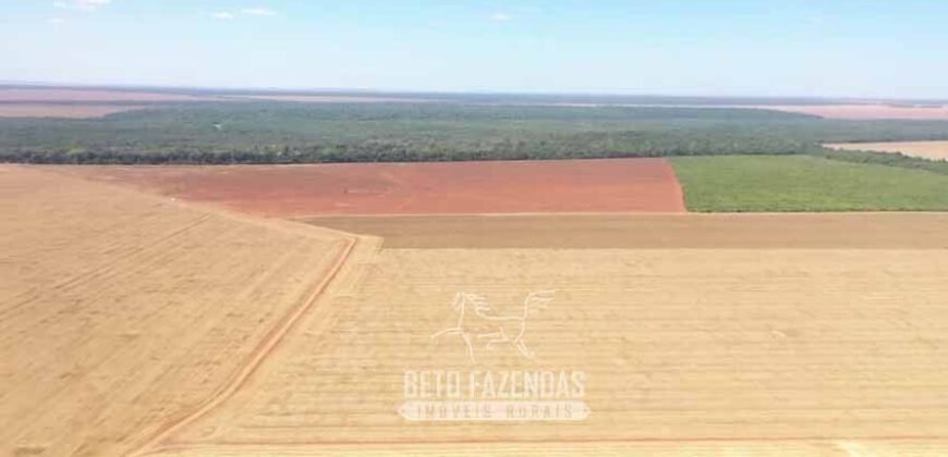 Excelente Fazenda à Venda 7.200 hectares Oportunidade no Agronegócio | Região de Querência / MT