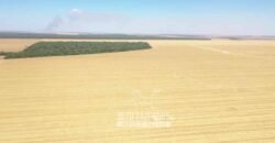 Excelente Fazenda à Venda 7.200 hectares Oportunidade no Agronegócio | Região de Querência / MT