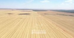 Excelente Fazenda à Venda 7.200 hectares Oportunidade no Agronegócio | Região de Querência / MT