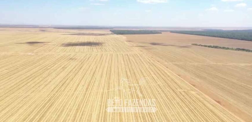 Excelente Fazenda à Venda 7.200 hectares Oportunidade no Agronegócio | Região de Querência / MT