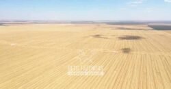 Excelente Fazenda à Venda 7.200 hectares Oportunidade no Agronegócio | Região de Querência / MT