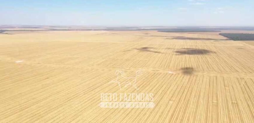 Excelente Fazenda à Venda 7.200 hectares Oportunidade no Agronegócio | Região de Querência / MT