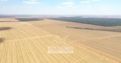 Excelente Fazenda à Venda 7.200 hectares Oportunidade no Agronegócio | Região de Querência / MT
