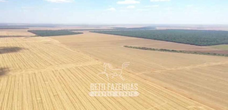 Excelente Fazenda à Venda 7.200 hectares Oportunidade no Agronegócio | Região de Querência / MT