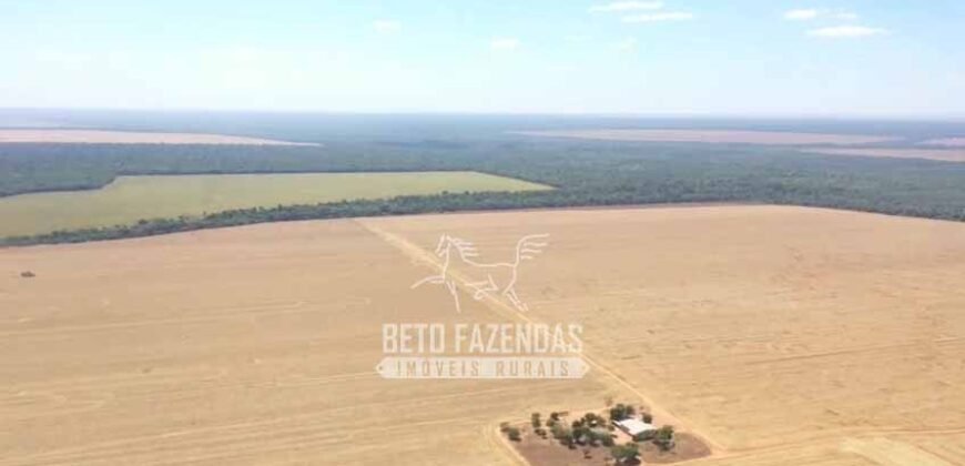 Excelente Fazenda à Venda 7.200 hectares Oportunidade no Agronegócio | Região de Querência / MT