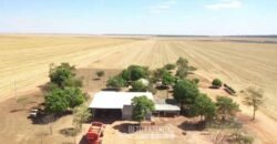 Excelente Fazenda à Venda 7.200 hectares Oportunidade no Agronegócio | Região de Querência / MT