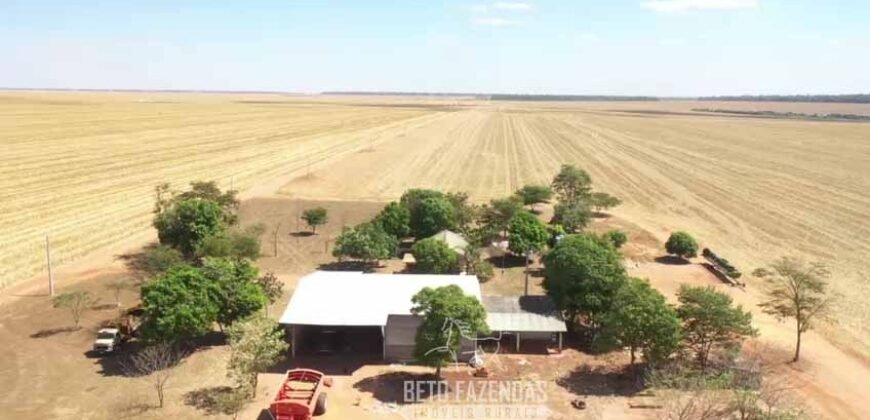 Excelente Fazenda à Venda 7.200 hectares Oportunidade no Agronegócio | Região de Querência / MT
