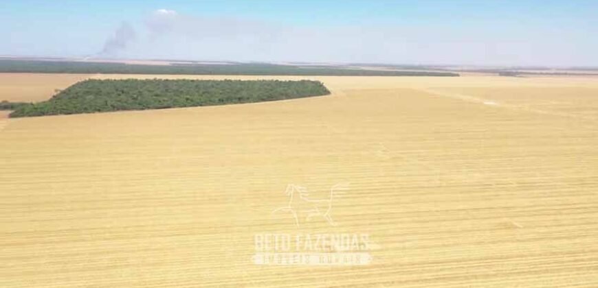 Excelente Fazenda à Venda 7.200 hectares Oportunidade no Agronegócio | Região de Querência / MT
