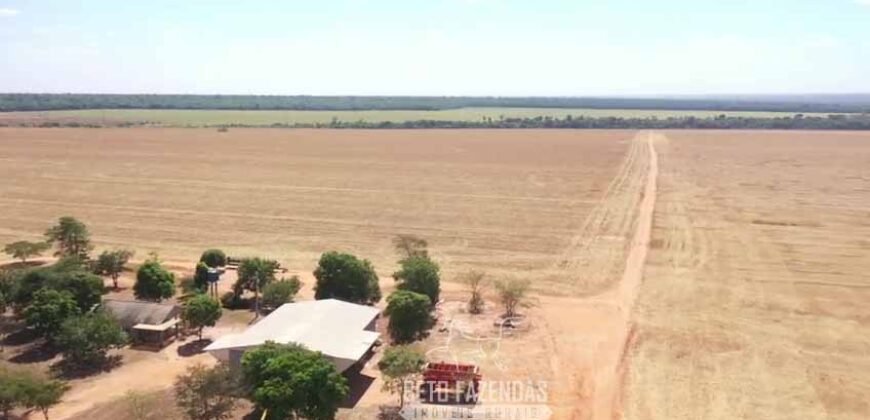 Excelente Fazenda à Venda 7.200 hectares Oportunidade no Agronegócio | Região de Querência / MT