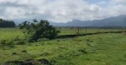 Excelente Fazenda à Venda 153 alqueires Agronegócio Lavoura e Pecuária | Iguape/ SP Excelente Fazenda à Venda 153 alqueires Agronegócio Lavoura e Pecuária | Iguape/ SP