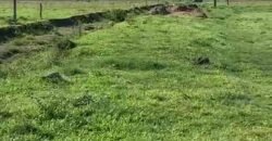 Excelente Fazenda à Venda 153 alqueires Agronegócio Lavoura e Pecuária | Iguape/ SP Excelente Fazenda à Venda 153 alqueires Agronegócio Lavoura e Pecuária | Iguape/ SP