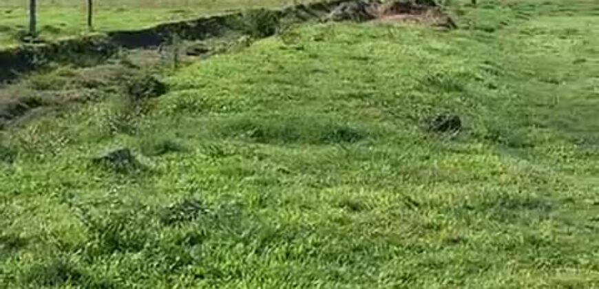 Excelente Fazenda à Venda 153 alqueires Agronegócio Lavoura e Pecuária | Iguape/ SP Excelente Fazenda à Venda 153 alqueires Agronegócio Lavoura e Pecuária | Iguape/ SP