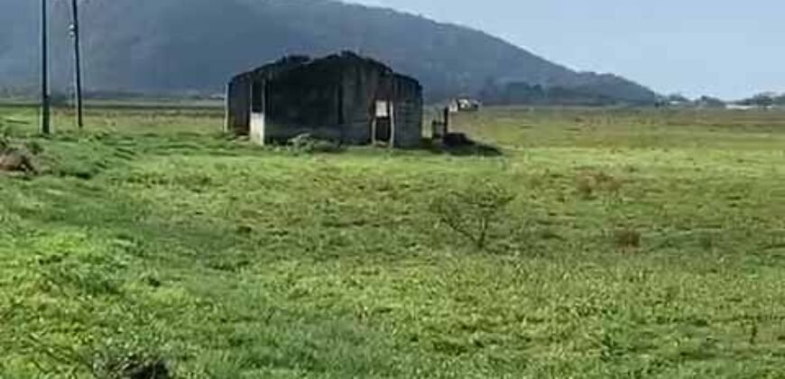 Excelente Fazenda à Venda 153 alqueires Agronegócio Lavoura e Pecuária | Iguape/ SP Excelente Fazenda à Venda 153 alqueires Agronegócio Lavoura e Pecuária | Iguape/ SP