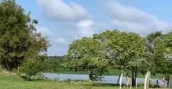 Excelente Fazenda à Venda 153 alqueires Agronegócio Lavoura e Pecuária | Iguape/ SP Excelente Fazenda à Venda 153 alqueires Agronegócio Lavoura e Pecuária | Iguape/ SP