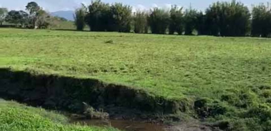 Excelente Fazenda à Venda 153 alqueires Agronegócio Lavoura e Pecuária | Iguape/ SP Excelente Fazenda à Venda 153 alqueires Agronegócio Lavoura e Pecuária | Iguape/ SP