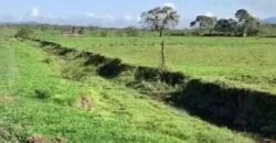 Excelente Fazenda à Venda 153 alqueires Agronegócio Lavoura e Pecuária | Iguape/ SP Excelente Fazenda à Venda 153 alqueires Agronegócio Lavoura e Pecuária | Iguape/ SP