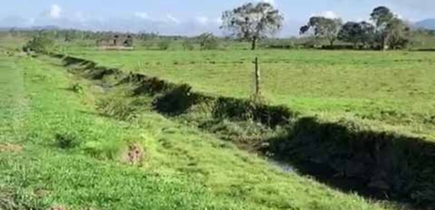Excelente Fazenda à Venda 153 alqueires Agronegócio Lavoura e Pecuária | Iguape/ SP Excelente Fazenda à Venda 153 alqueires Agronegócio Lavoura e Pecuária | Iguape/ SP