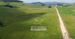 Excelente Fazenda à Venda 1.069 Hectares Investidores no Setor Agropecuário | Itaboraí/ RJ