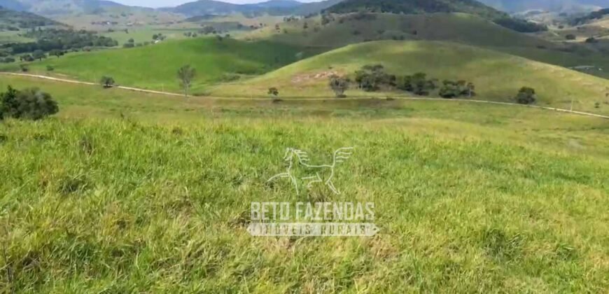 Excelente Fazenda à Venda 1.069 Hectares Investidores no Setor Agropecuário | Itaboraí/ RJ