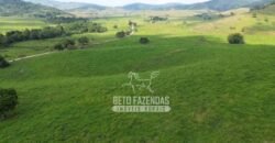 Excelente Fazenda à Venda 1.069 Hectares Investidores no Setor Agropecuário | Itaboraí/ RJ