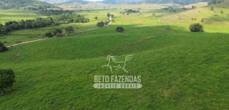 Excelente Fazenda à Venda 1.069 Hectares Investidores no Setor Agropecuário | Itaboraí/ RJ