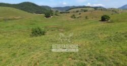 Excelente Fazenda à Venda 1.069 Hectares Investidores no Setor Agropecuário | Itaboraí/ RJ