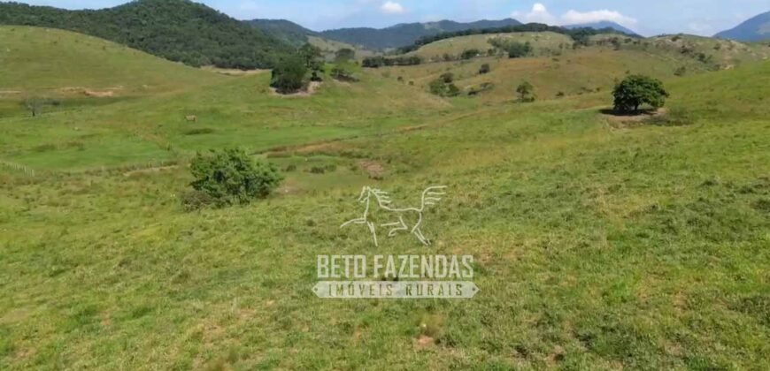 Excelente Fazenda à Venda 1.069 Hectares Investidores no Setor Agropecuário | Itaboraí/ RJ