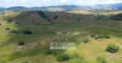 Excelente Fazenda à Venda 1.069 Hectares Investidores no Setor Agropecuário | Itaboraí/ RJ