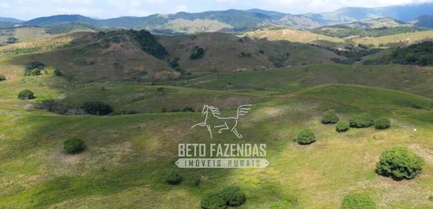 Excelente Fazenda à Venda 1.069 Hectares Investidores no Setor Agropecuário | Itaboraí/ RJ