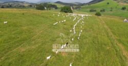 Excelente Fazenda à Venda 1.069 Hectares Investidores no Setor Agropecuário | Itaboraí/ RJ
