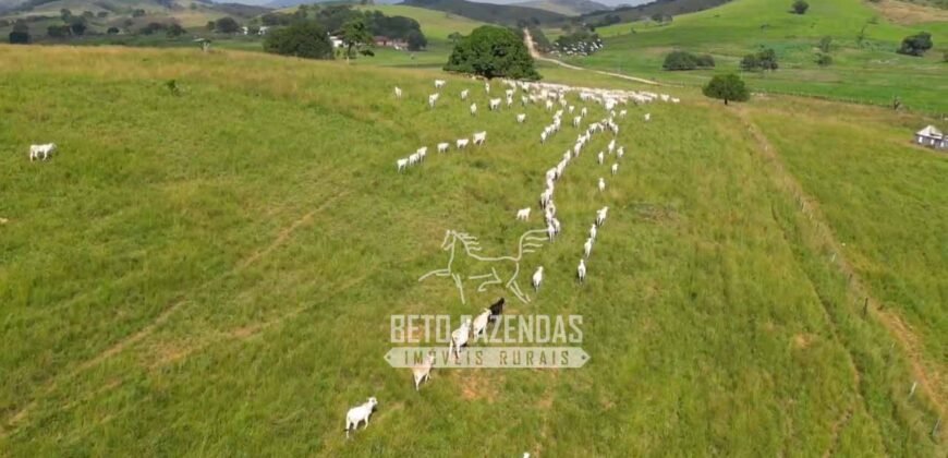 Excelente Fazenda à Venda 1.069 Hectares Investidores no Setor Agropecuário | Itaboraí/ RJ