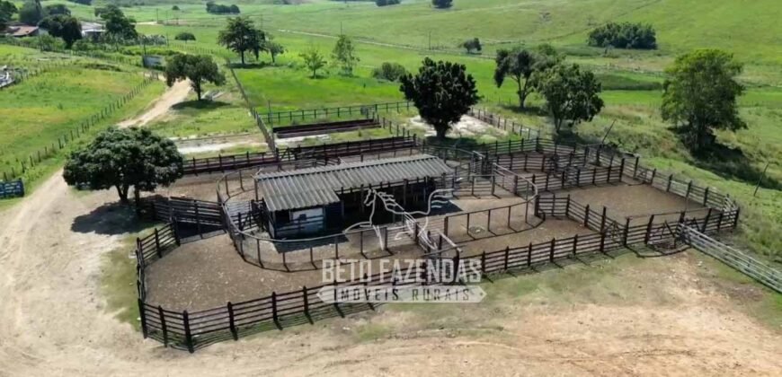 Excelente Fazenda à Venda 1.069 Hectares Investidores no Setor Agropecuário | Itaboraí/ RJ