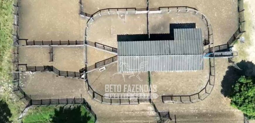 Excelente Fazenda à Venda 1.069 Hectares Investidores no Setor Agropecuário | Itaboraí/ RJ