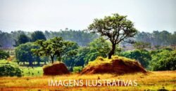 Fazenda 9.000 hectares no Cerrado Maranhense Documentação Regularizada | Morros/ MA