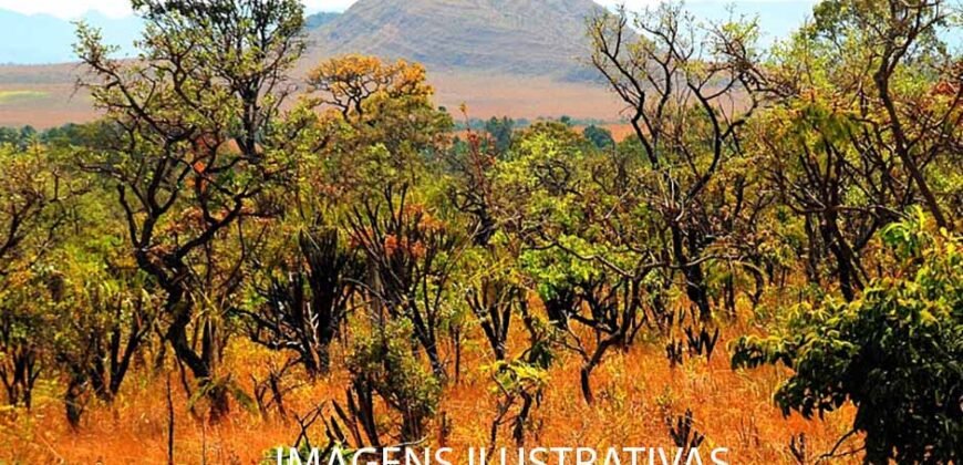 Fazenda 9.000 hectares no Cerrado Maranhense Documentação Regularizada | Morros/ MA