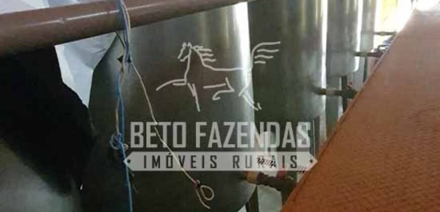 Venda do Maior Alambique Artesanal do Brasil Total de 28.000 m² | Gaspar/ SP