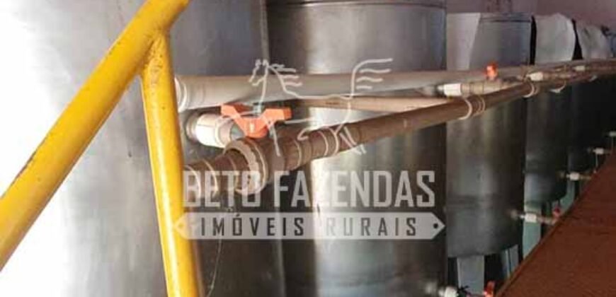 Venda do Maior Alambique Artesanal do Brasil Total de 28.000 m² | Gaspar/ SP