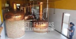 Venda do Maior Alambique Artesanal do Brasil Total de 28.000 m² | Gaspar/ SP