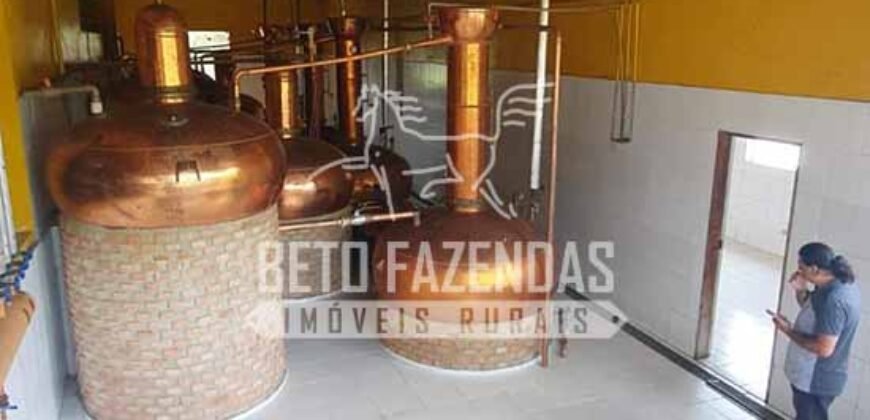 Venda do Maior Alambique Artesanal do Brasil Total de 28.000 m² | Gaspar/ SP