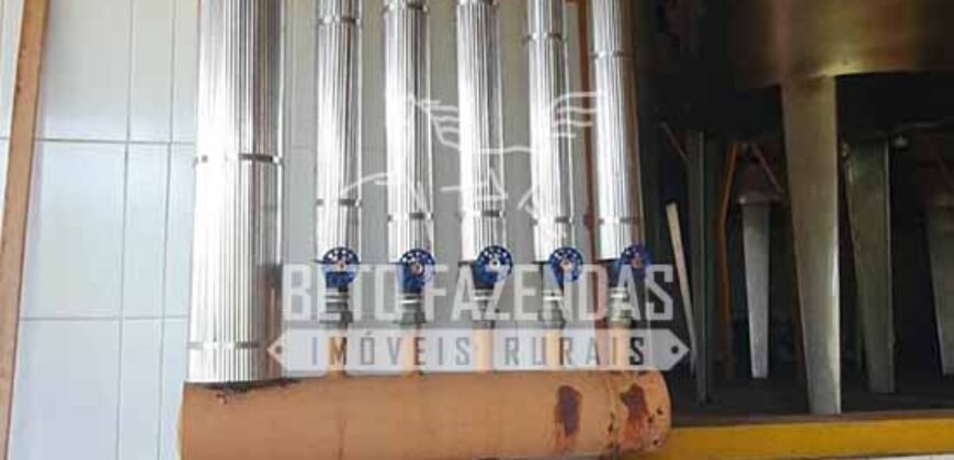 Venda do Maior Alambique Artesanal do Brasil Total de 28.000 m² | Gaspar/ SP