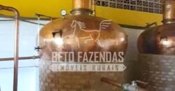 Venda do Maior Alambique Artesanal do Brasil Total de 28.000 m² | Gaspar/ SP