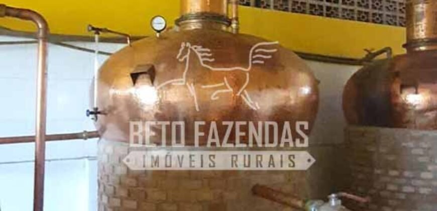 Venda do Maior Alambique Artesanal do Brasil Total de 28.000 m² | Gaspar/ SP