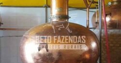 Venda do Maior Alambique Artesanal do Brasil Total de 28.000 m² | Gaspar/ SP