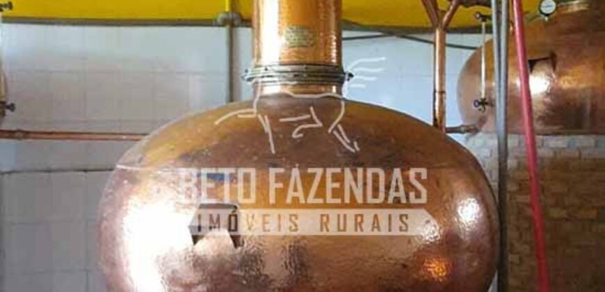 Venda do Maior Alambique Artesanal do Brasil Total de 28.000 m² | Gaspar/ SP