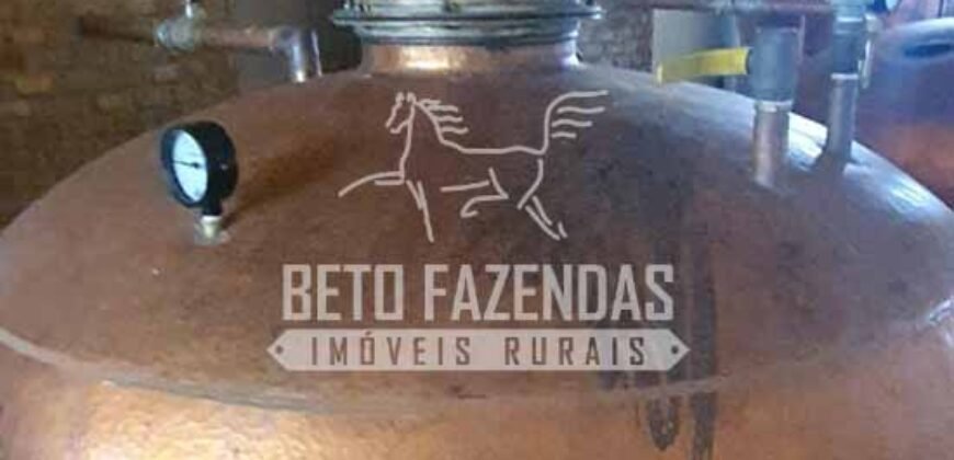 Venda do Maior Alambique Artesanal do Brasil Total de 28.000 m² | Gaspar/ SP